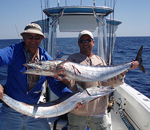 The Bahamas Wahoo